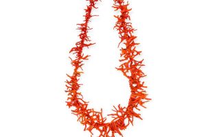 Collar coral ramas